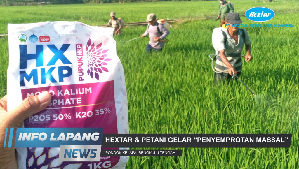 Penyemprotan-Massal-Pupuk-PT.-Hextar-Fertilizer-Indonesia
