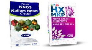 pupuk-daun-hextar-fertilizer-indonesia